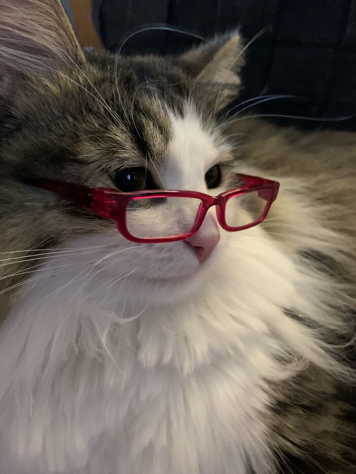 This Is Dennis' Brother Antoine