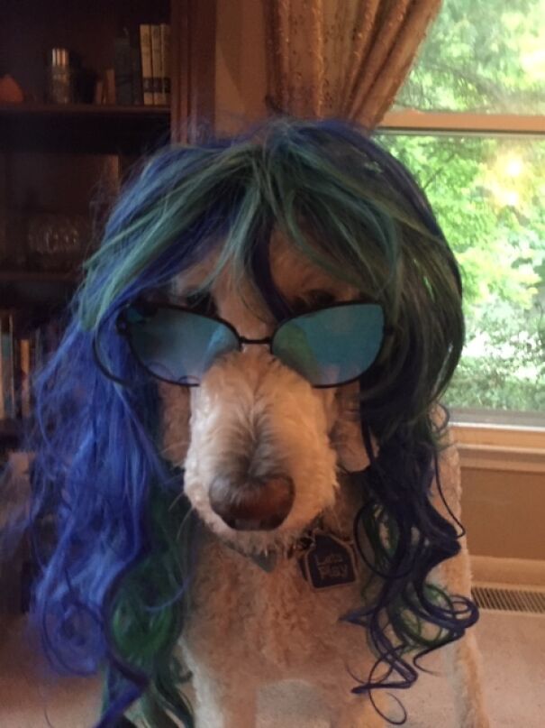 His Dreams Of Being A Movie Star Will Surely Come True, One Day.