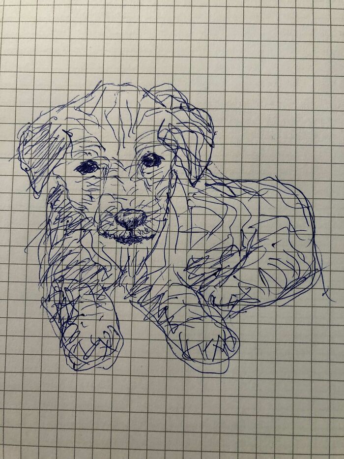 Ok So This Turned Out Way Better Than Expected. I Can't Draw A Straight Line, But I Think It Turned Out To Be An Advantage