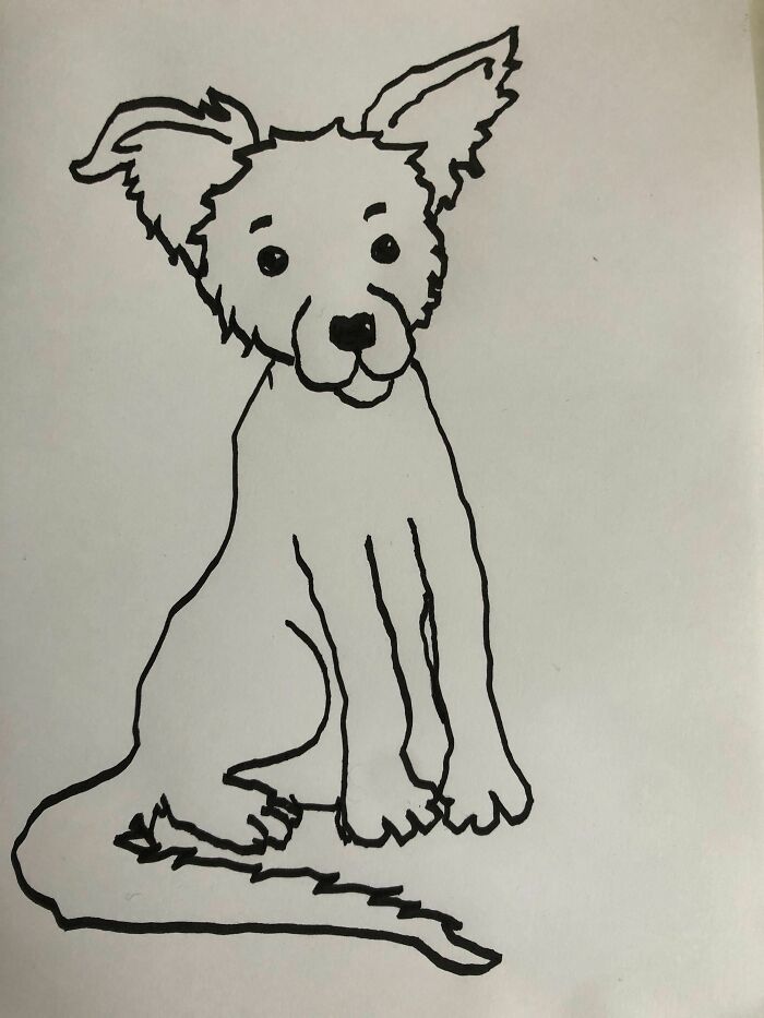 I Gave Up Somewhere Around The Paws