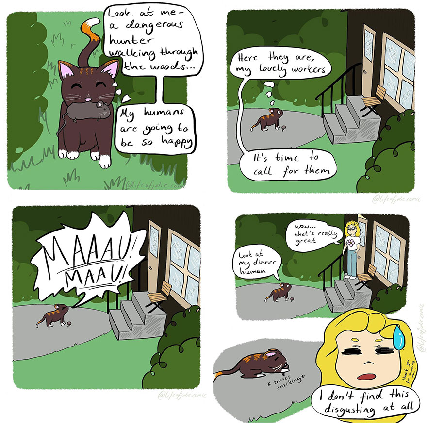 Everyday-Life-Comics-Lifeofjolie-Comic