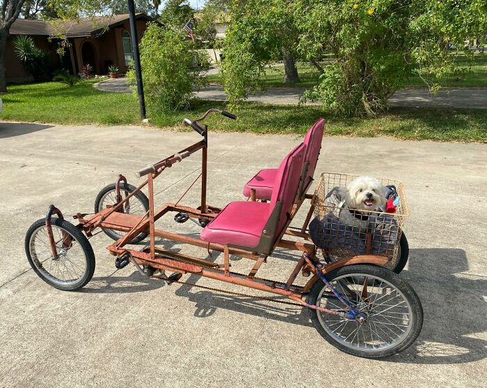Our Neighbors Sold Us This Bike They Made From Different Bikes Welded Together On A Steel Frame. The Seats Are Boat Seats. They Named Her Frankie, And We Already Love Her!