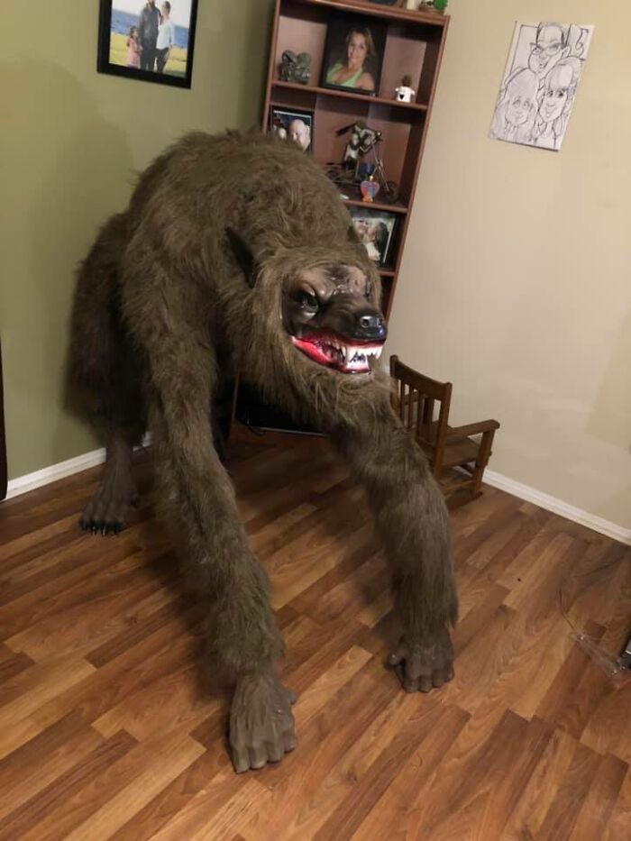 Got A New Dog Today. Y’all This Is Porkchop. Bought Him Off Some Random Guy At A Red Light, Was On His Trailer