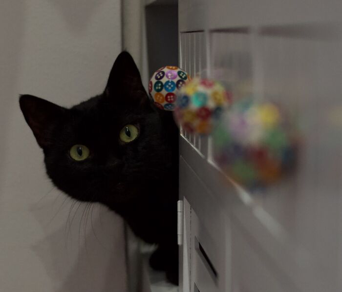 I'm There Too, Lulu'