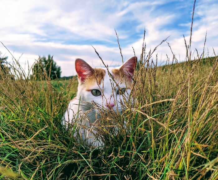 This Is My Handsome Boy Pierce Brosnan From One Of His Many Photo Shoots.