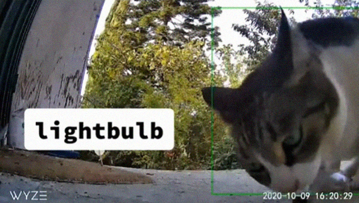 Meet China, The Kleptomaniac Cat Who Steals Stuff From Neighbors And Brings These 'Gifts' To Her Owners Meet China, The Kleptomaniac Cat Who Steals Stuff From Neighbors And Brings These 'Gifts' To Her Owners