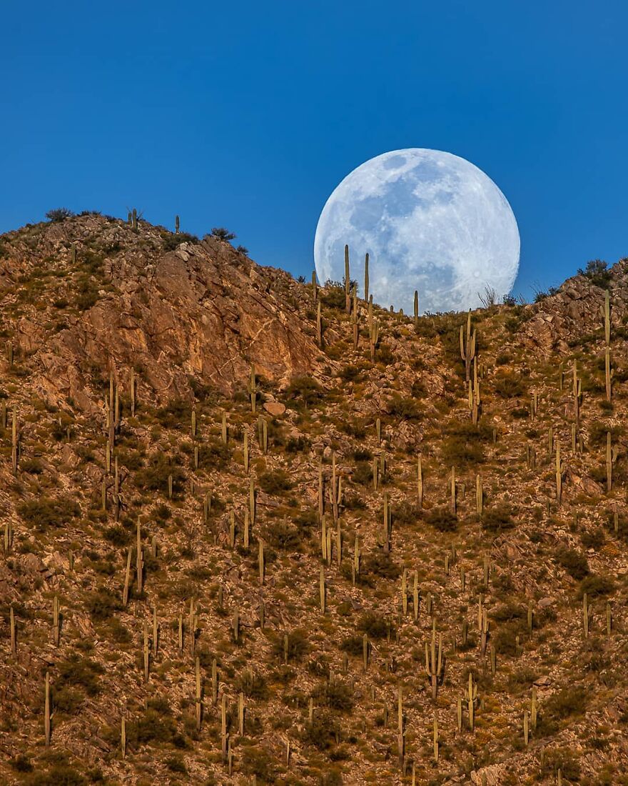 Meet Zach Cooley, The Photographer Who Calls Himself A "Moon Chaser" (50 Pics)