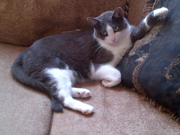 My Daughter Maya. This Is Her It's All About Me Look.