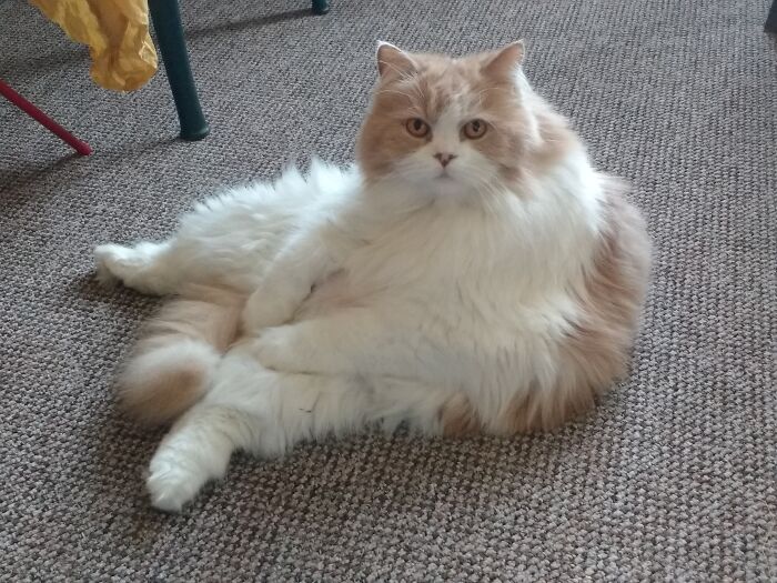 Noah Sits And Sleeps Like This Very Often.