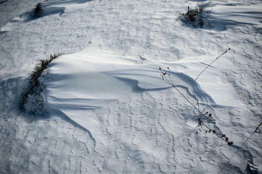 I Captured 40 Photos Of Winter In Ukrainian Carpathians