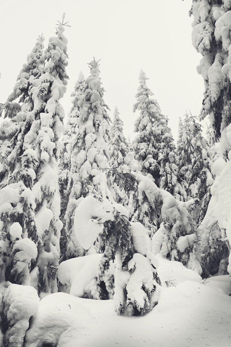 I Captured 40 Photos Of Winter In Ukrainian Carpathians