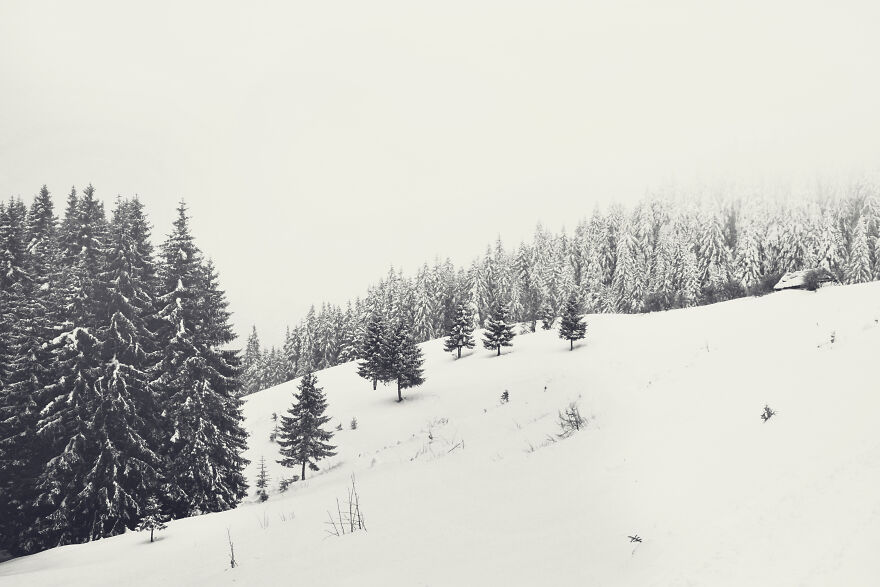 I Captured 40 Photos Of Winter In Ukrainian Carpathians