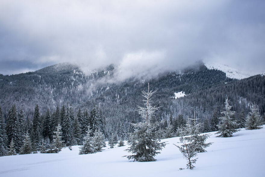 I Captured 40 Photos Of Winter In Ukrainian Carpathians