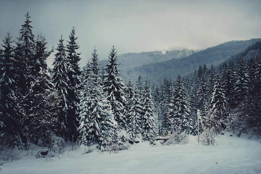 I Captured 40 Photos Of Winter In Ukrainian Carpathians