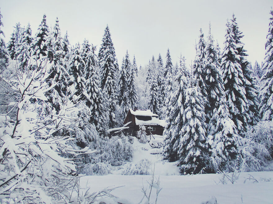 I Captured 40 Photos Of Winter In Ukrainian Carpathians
