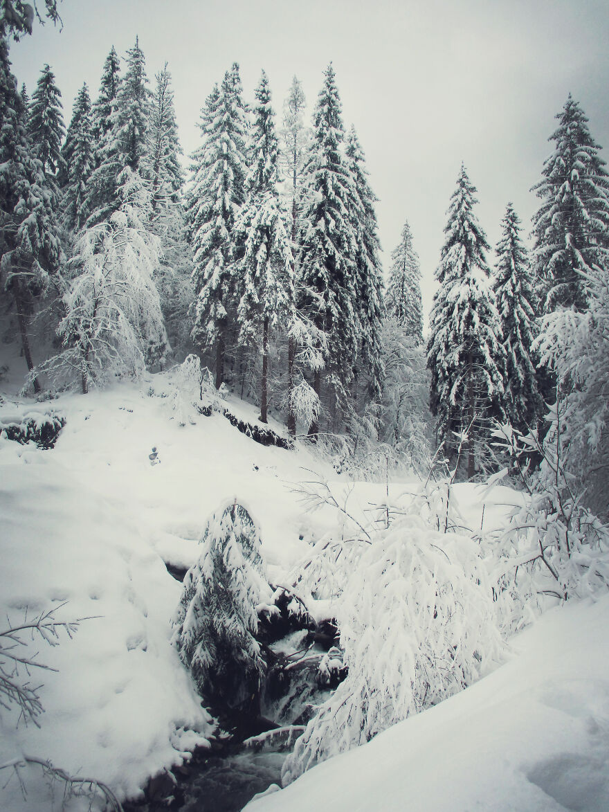 I Captured 40 Photos Of Winter In Ukrainian Carpathians
