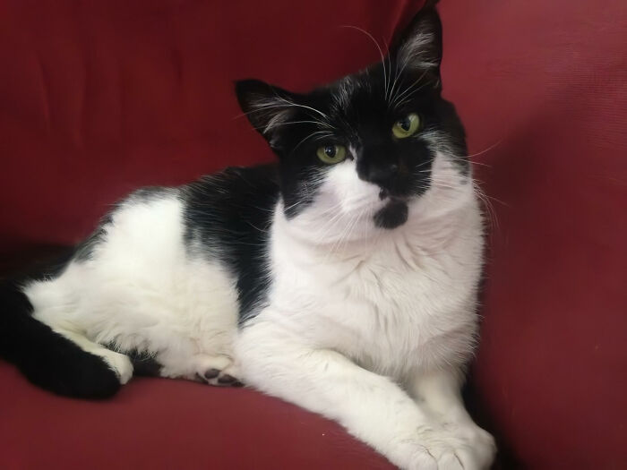 My Little Baby Boy Patch. Probably The Sweetest, Nicest Wee Boy Ever.