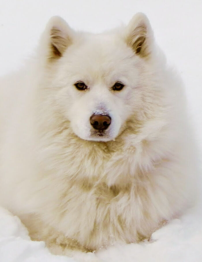 One More Of My Boy Cooper