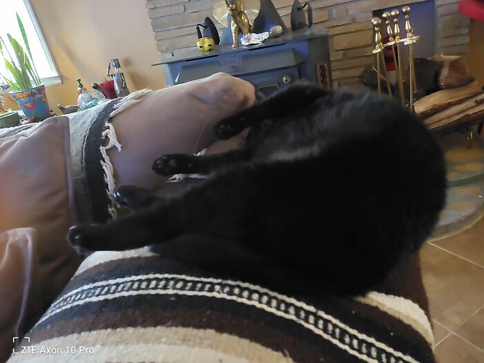 Petra Defies Gravity - In Front Of The Fireplace Like This For Hours!!!