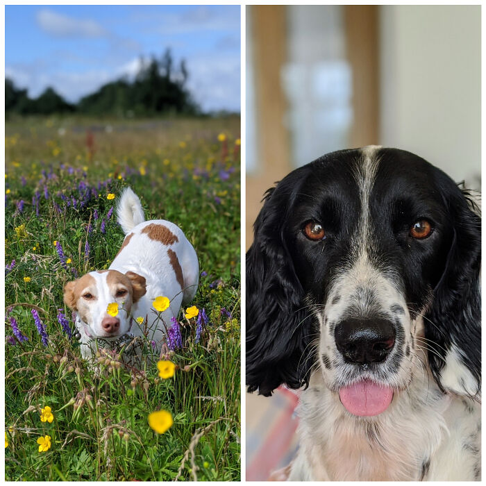 My Beautiful Girls Suzie & Molly