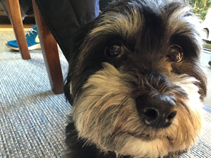 *Thick Accent* Well Henlo There