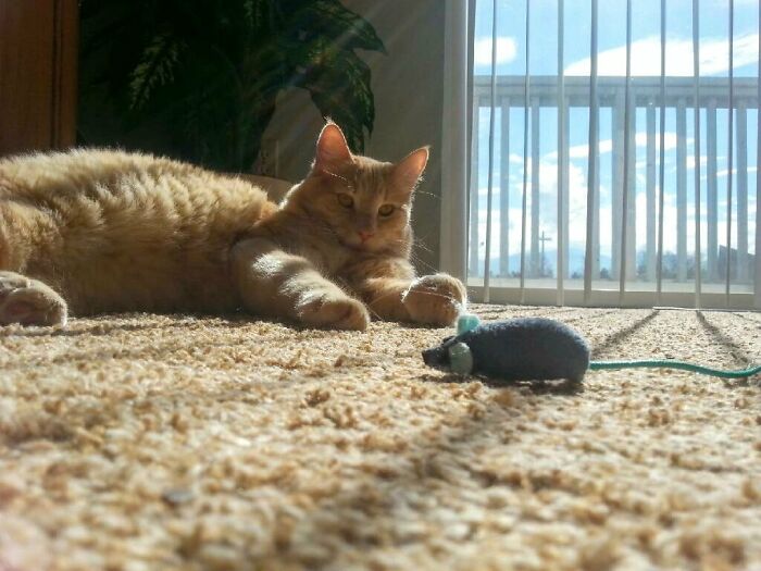 Considering Attac...