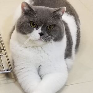 nataliekung707 avatar