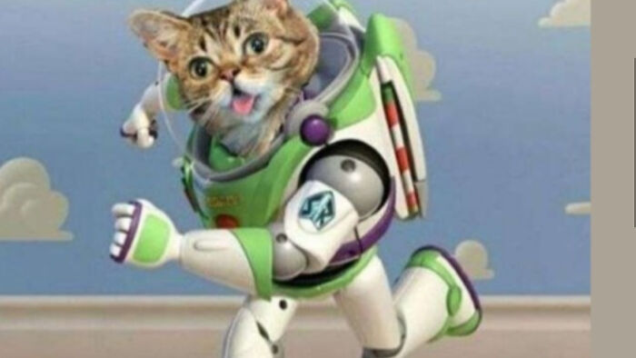 Know The Other Post Where We Put Cats On Stuff, Yeah