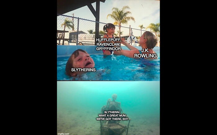 I Replied To A Comment With That But If You Want I Have A Cat Meme