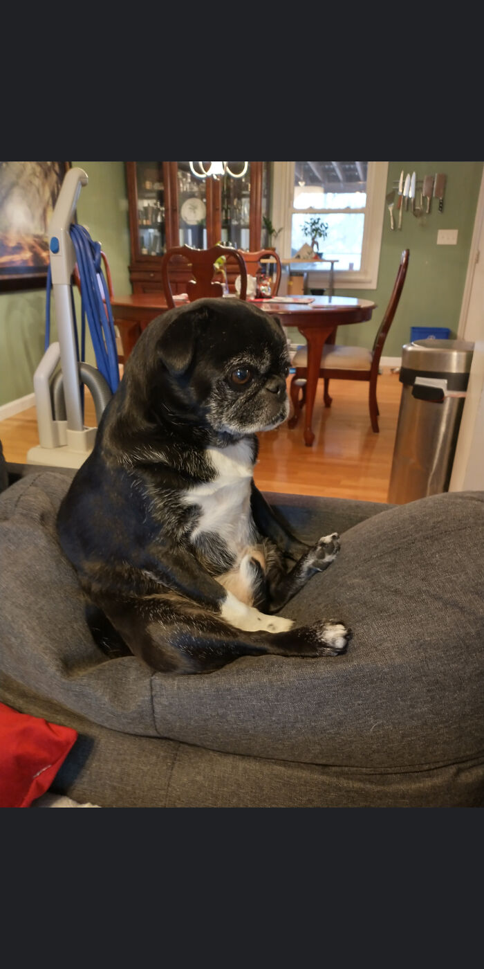 Yes, He Was Raised By Cats