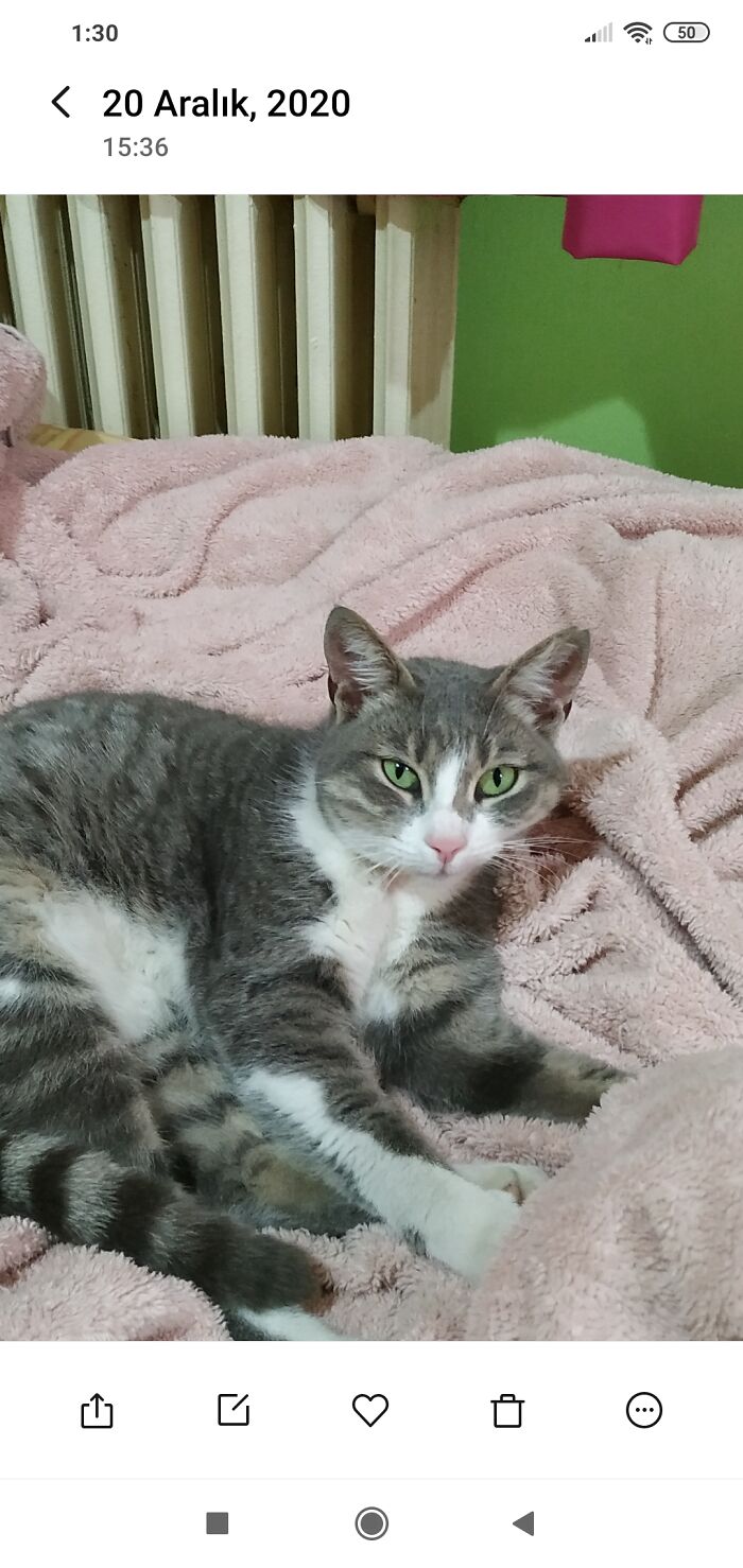 She Was Pregnant When I Found Her. Say Hi To Mu Foster Failure Ms Balim.