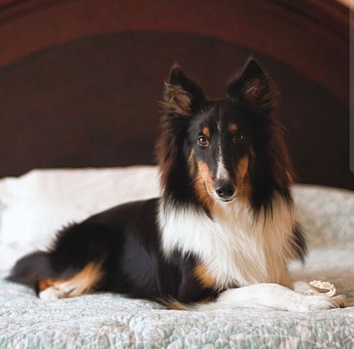 Sirius Snow, From Mexico City