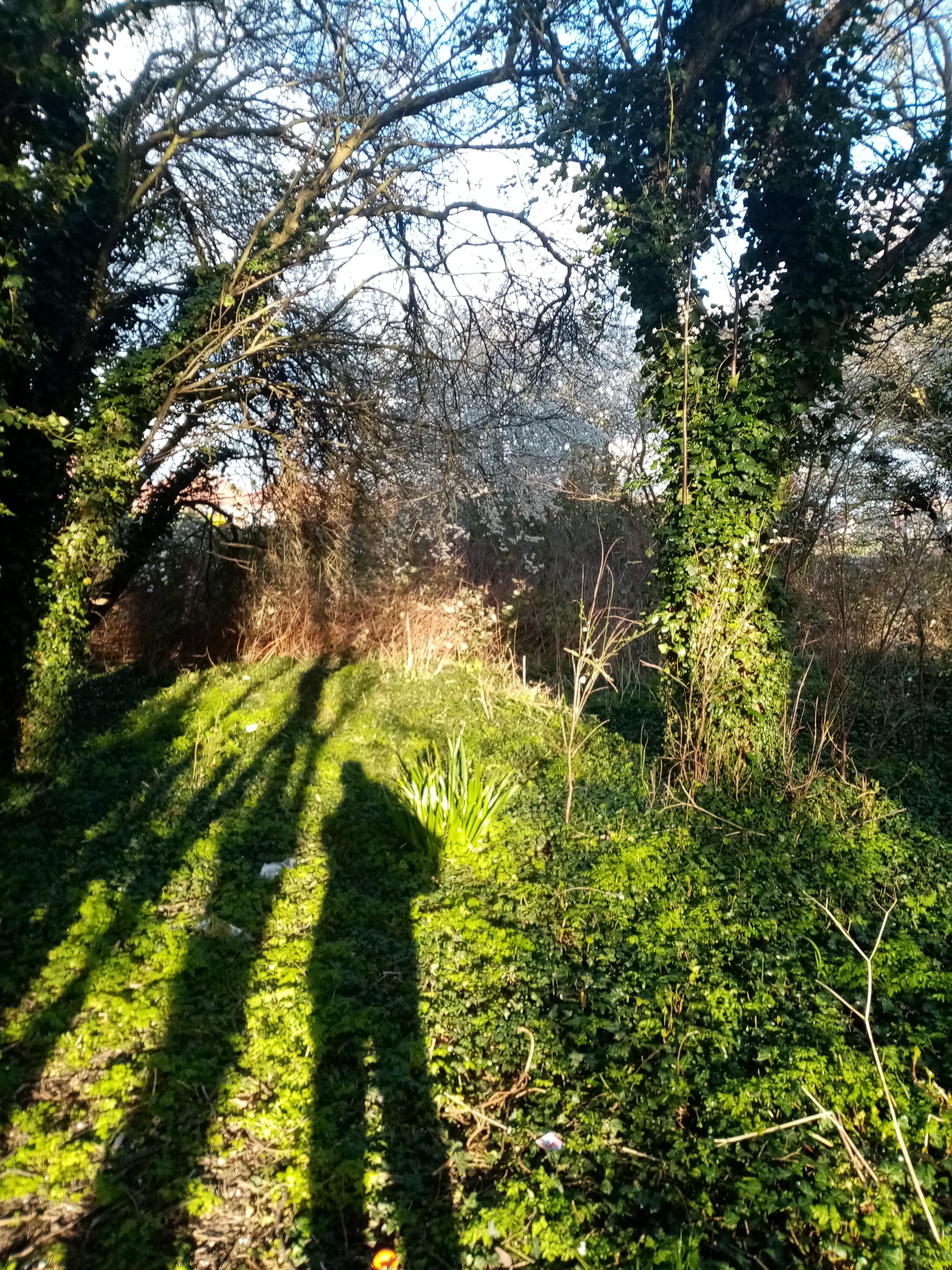 Send Pictures You Have Taken