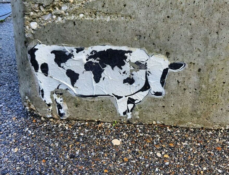 Mosieur Lee In Bordeaux, France