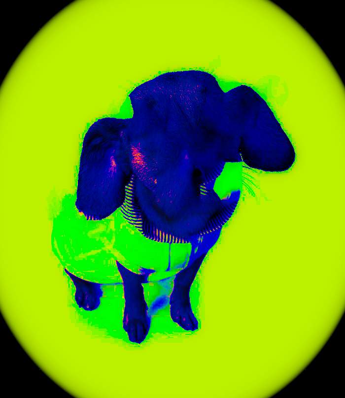 I Played Around With Photoshop And Got This