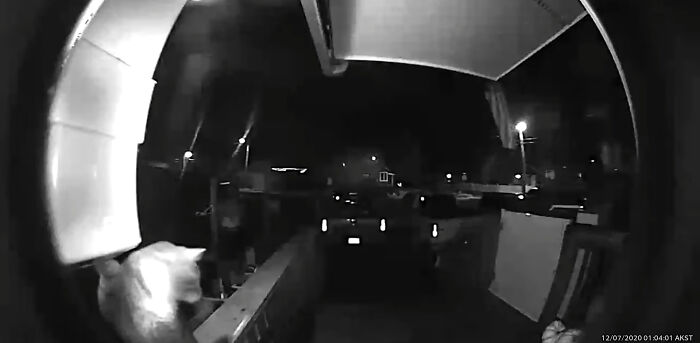 Owner Was Surprised By A Late-Night Doorbell, Turns Out It Was Her Cat