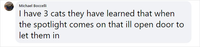 Owner Was Surprised By A Late-Night Doorbell, Turns Out It Was Her Cat Owner Was Surprised By A Late-Night Doorbell, Turns Out It Was Her Cat