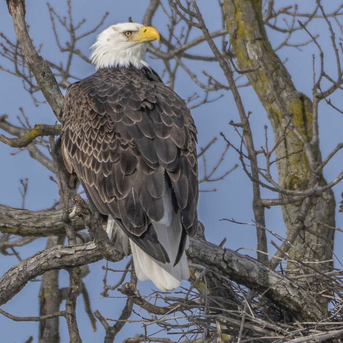 Photographer Records Fun Videos Of Birds Eating From Her Palm In Slow Motion