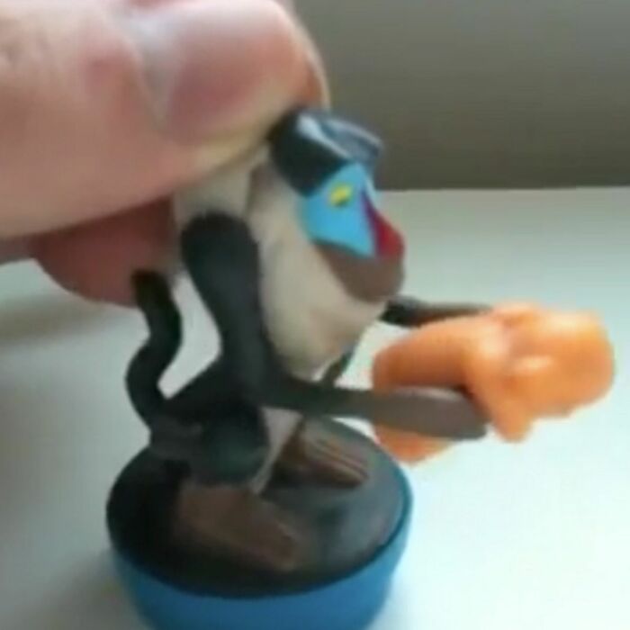 Rafiki What Are You Doing?!