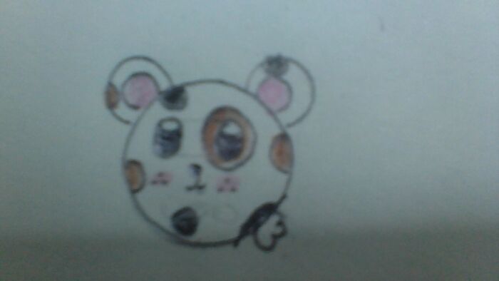 Is A Hamster But I've Never Had One.