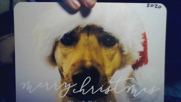 Our Christmas Card This Year.