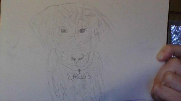 Behold! Harry... Sort Of...