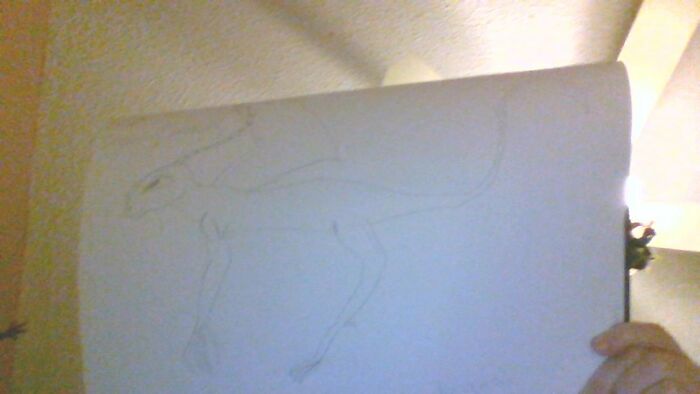 *nervous Laughter* Hopefully You Can See Him. His Name Is Reaper, And He's A Skywing/Sandwing. Been Drawing Dragons For Years-Still The Best I Can Do