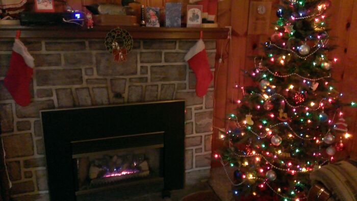 All Ready For The Cats To Tear Up! Lol