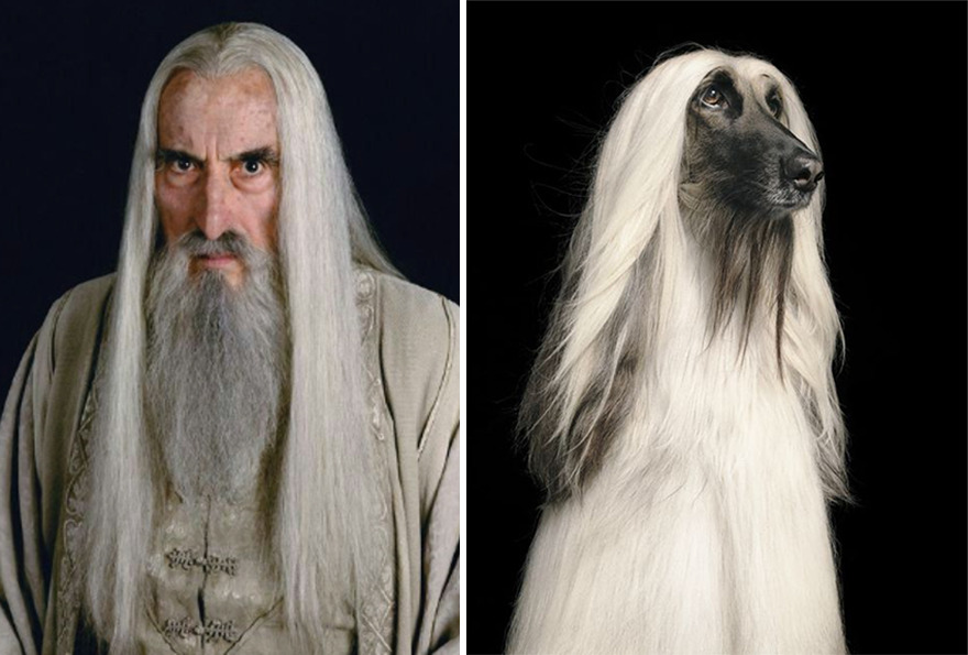Saruman