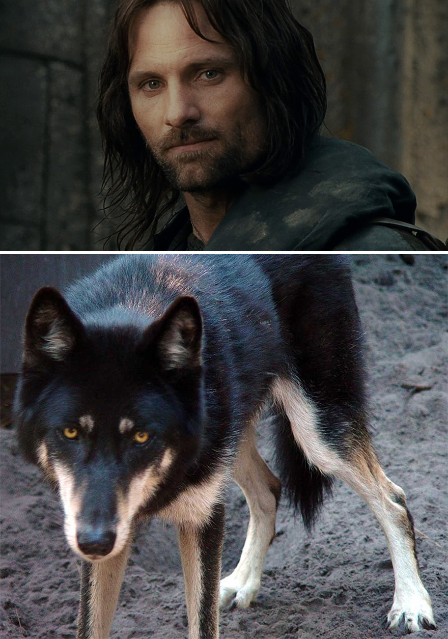 Aragorn