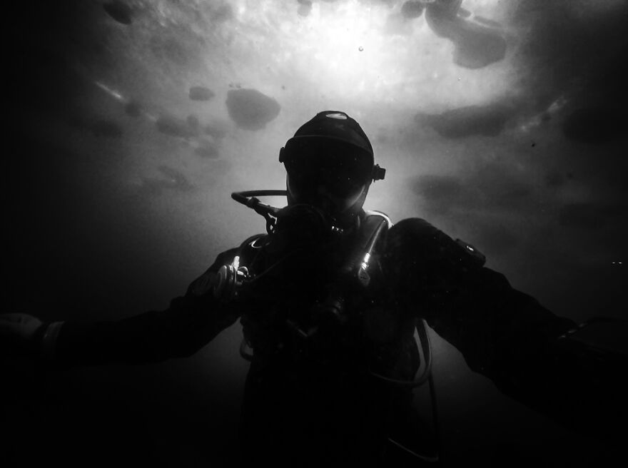 Welcome Into Your Own Dream