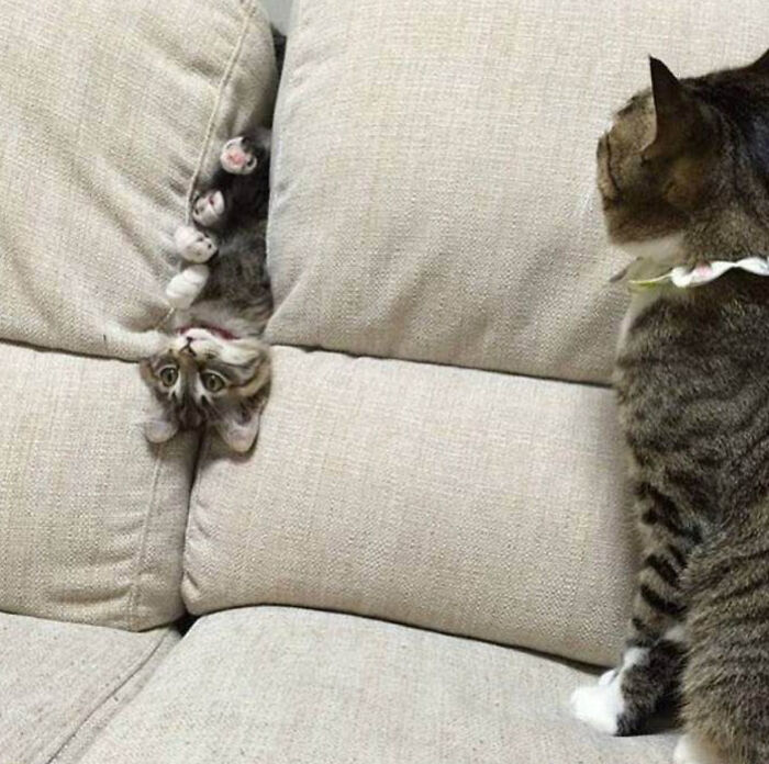 If You Choose To Have Children...