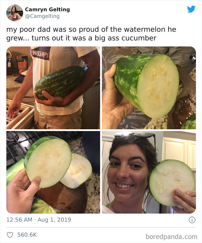 This Cucumber Mistaken For A Watermelon