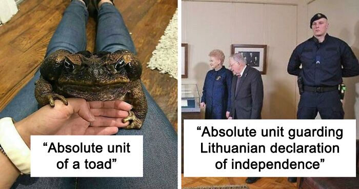 This Online Community Is Sharing Pics Of Absolute Units, And It’s Hard To Believe Things Can Get This Big